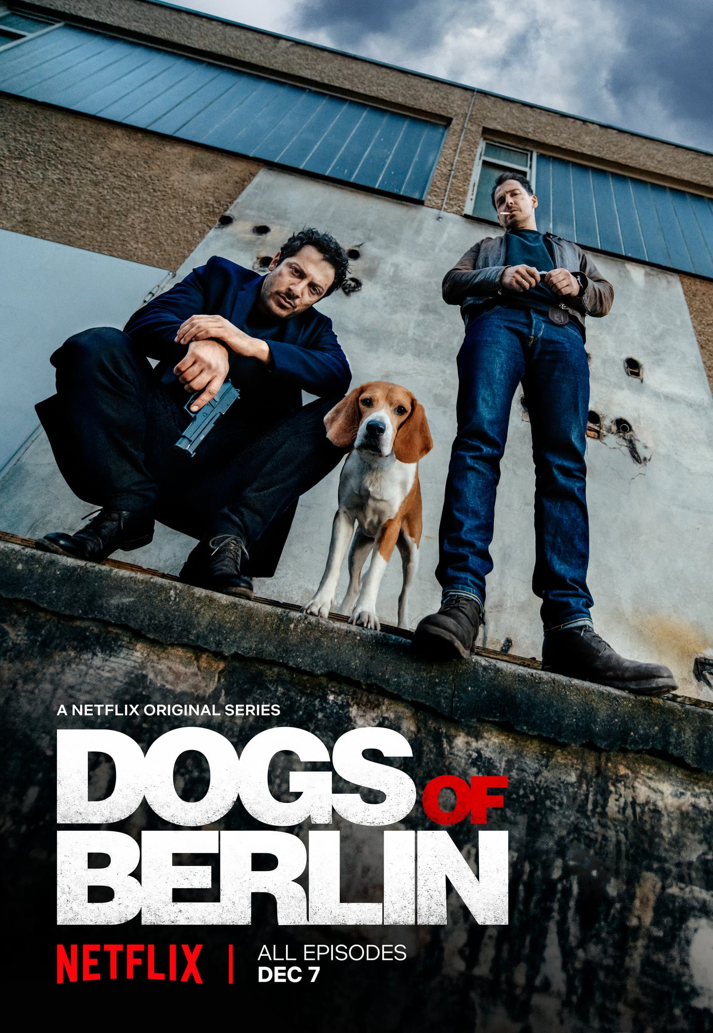 постер Собаки Берлина